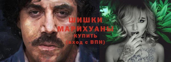 тгк Горнозаводск