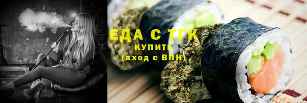 индика Горняк