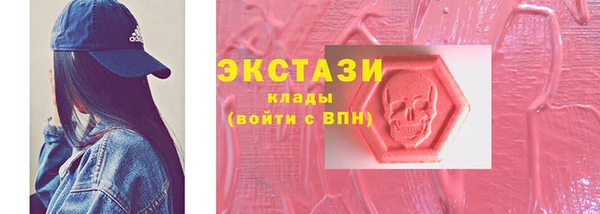 индика Горняк