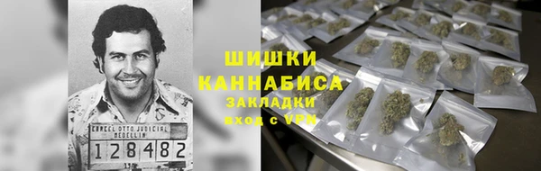 тгк Горнозаводск