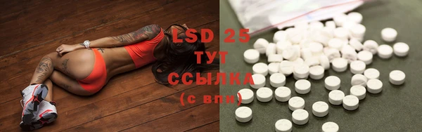 тгк Горнозаводск