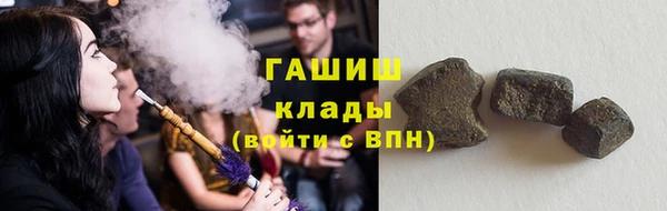 индика Горняк