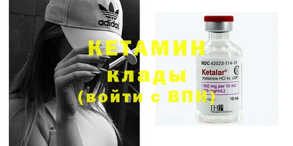 индика Горняк