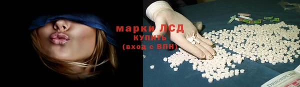 тгк Горнозаводск