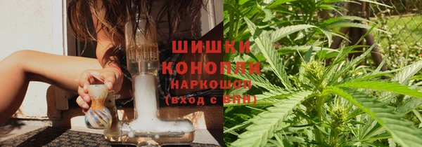 индика Горняк