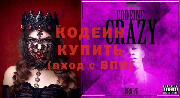 индика Горняк
