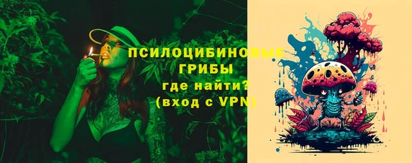 тгк Горнозаводск