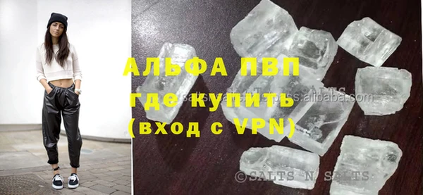 индика Горняк