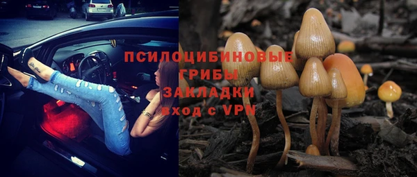 индика Горняк