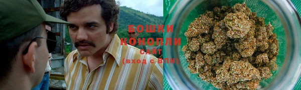 индика Горняк