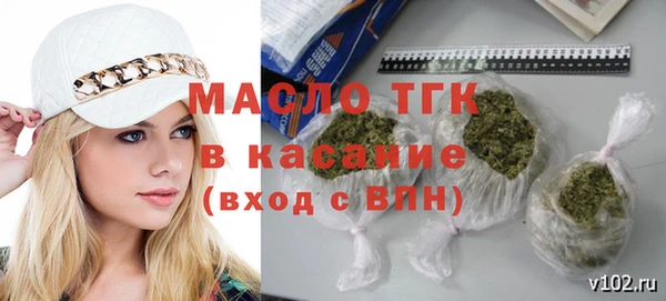 индика Горняк