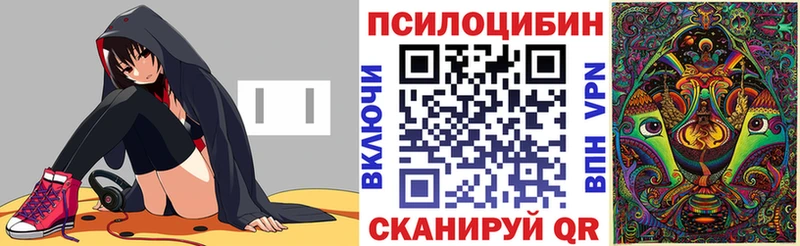 Псилоцибиновые грибы Cubensis  Купить  Светлый 